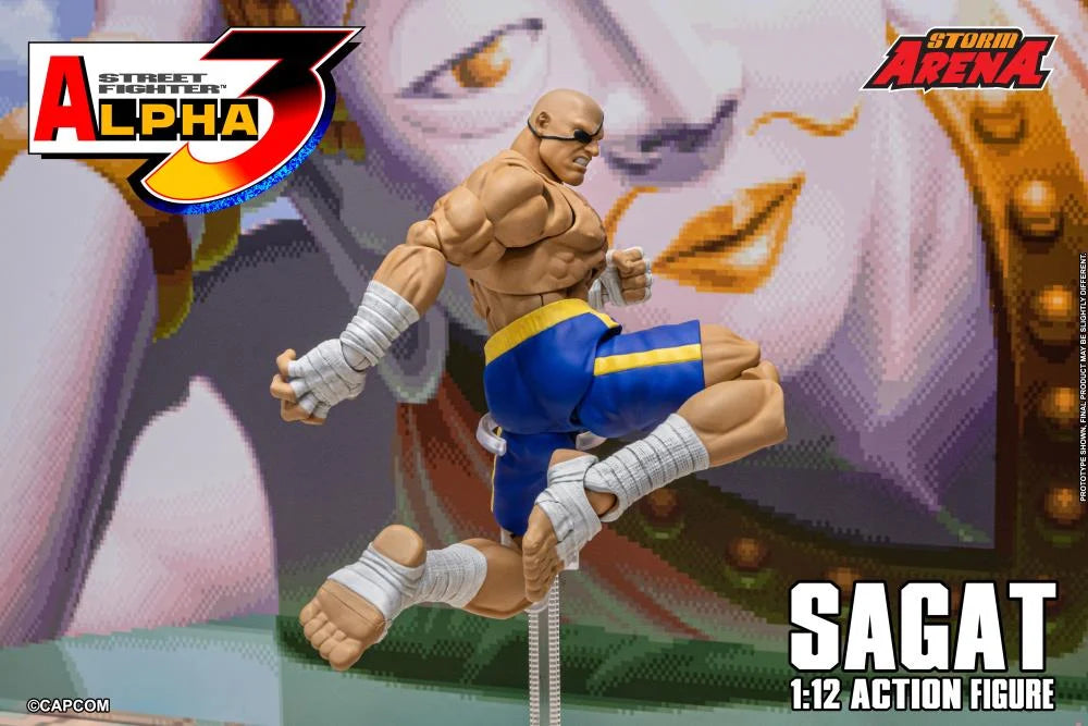 Street Fighter Alpha 3 Storm Arena Sagat 1/12 Scale Action Figure