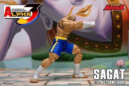 Street Fighter Alpha 3 Storm Arena Sagat 1/12 Scale Action Figure