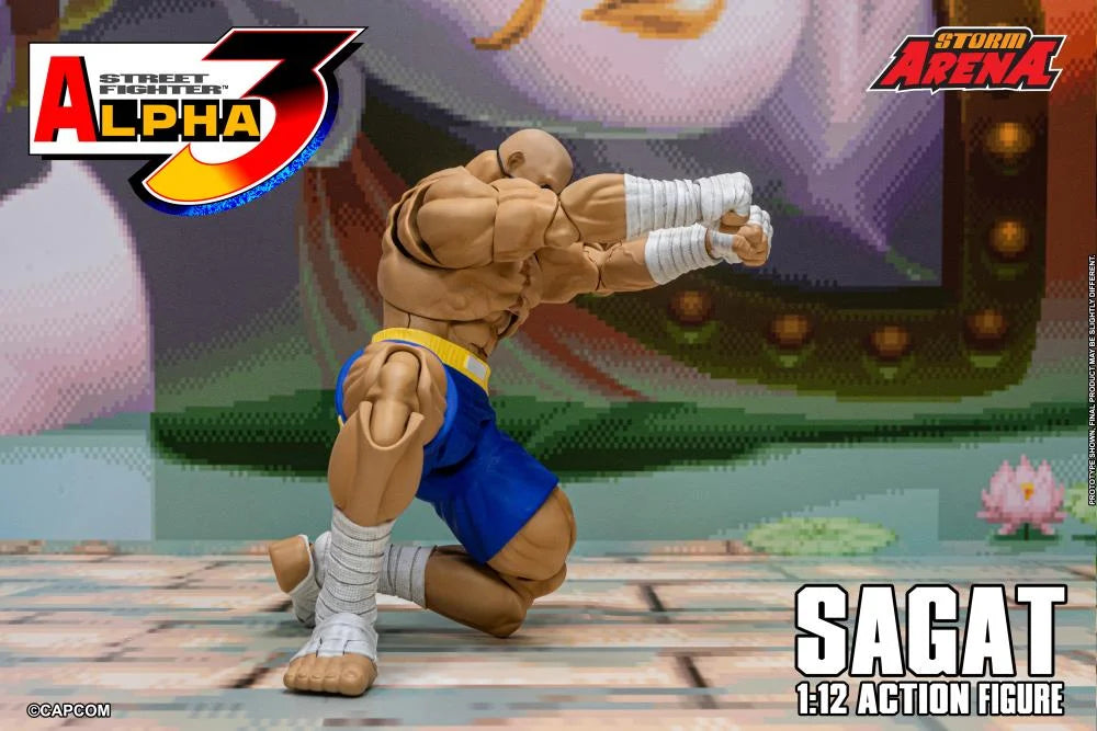 Street Fighter Alpha 3 Storm Arena Sagat 1/12 Scale Action Figure
