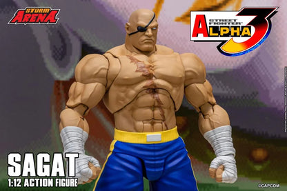 Street Fighter Alpha 3 Storm Arena Sagat 1/12 Scale Action Figure