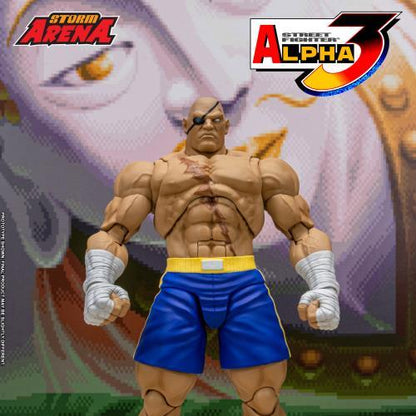 Street Fighter Alpha 3 Storm Arena Sagat 1/12 Scale Action Figure