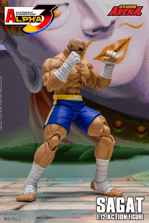 Street Fighter Alpha 3 Storm Arena Sagat 1/12 Scale Action Figure