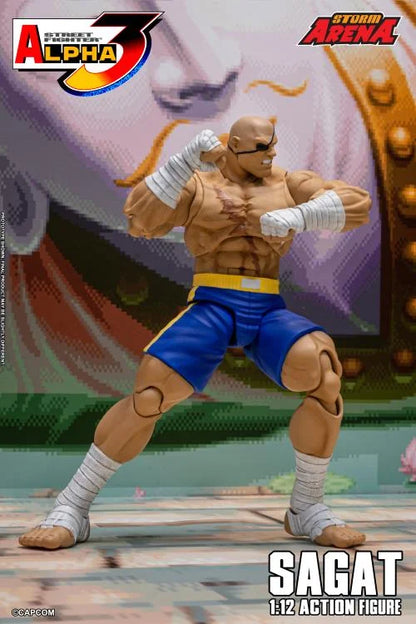 Street Fighter Alpha 3 Storm Arena Sagat 1/12 Scale Action Figure