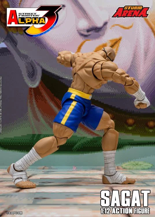 Street Fighter Alpha 3 Storm Arena Sagat 1/12 Scale Action Figure