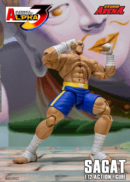 Street Fighter Alpha 3 Storm Arena Sagat 1/12 Scale Action Figure