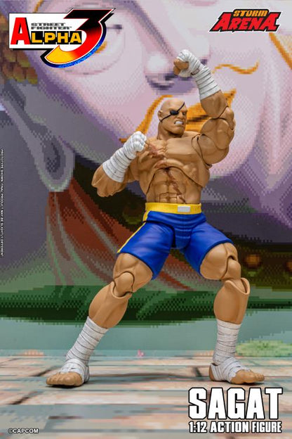 Street Fighter Alpha 3 Storm Arena Sagat 1/12 Scale Action Figure